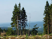 Radwandern in Wittgenstein