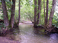 Radwandern in Wittgenstein