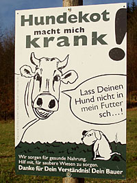 Radwandern in Wittgenstein