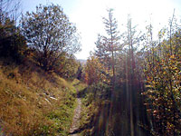 Radwandern in Wittgenstein