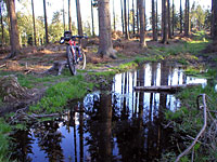 Radwandern in Wittgenstein